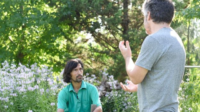 el ojo inquieto, un ciclo de micro-videos que mira justo donde no se ve en la fotografia