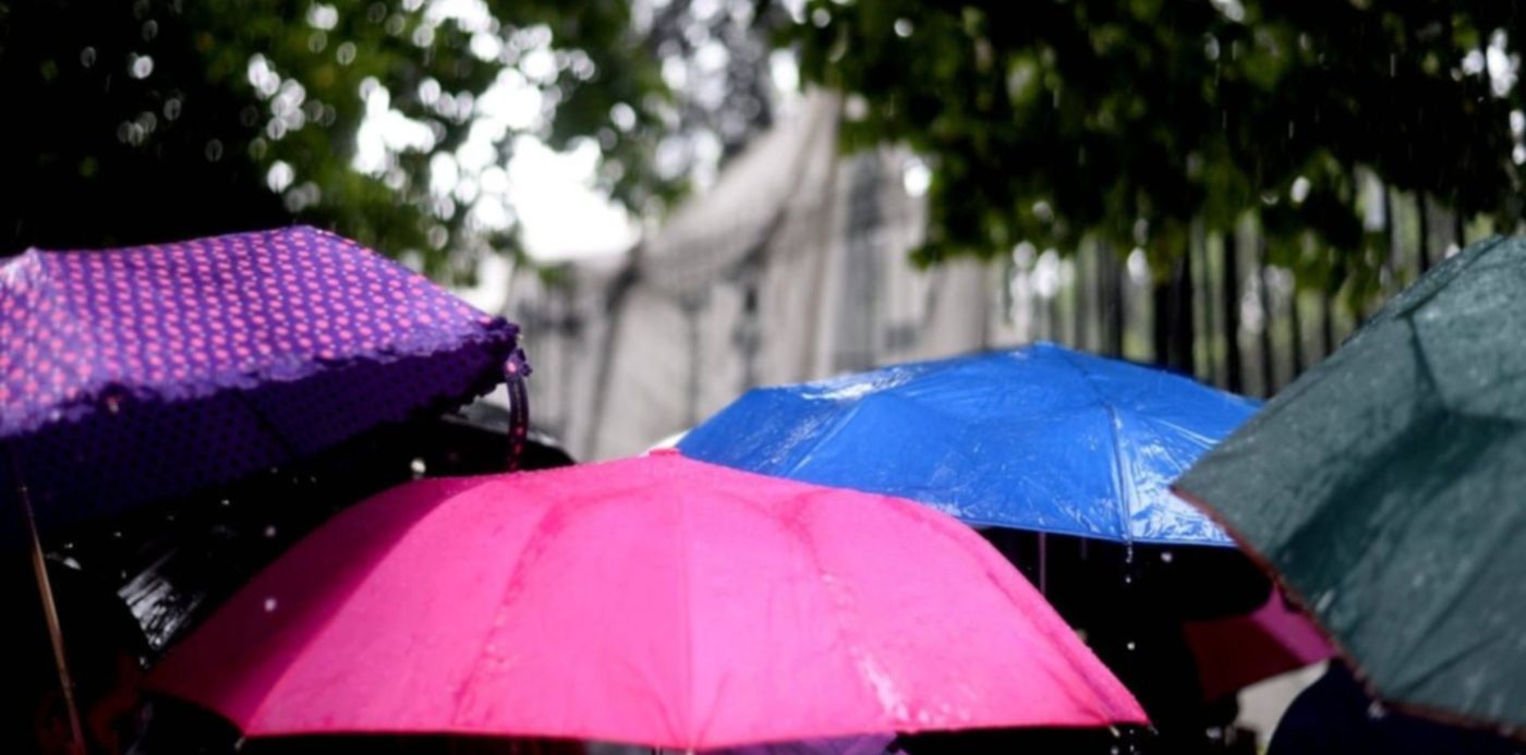 1612189533429.jpeg?x=0&y=204&width=1232&height=616&rotate=0&scaleX=1&scaleY=1&ow=1232&oh=820&&cw=1920&ch=950