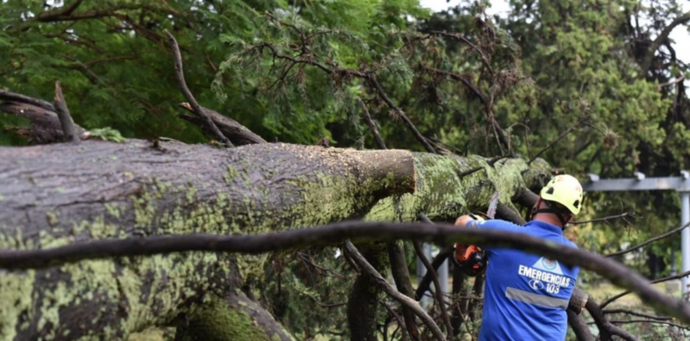 1550931556130.jpeg?&cw=1920&ch=950