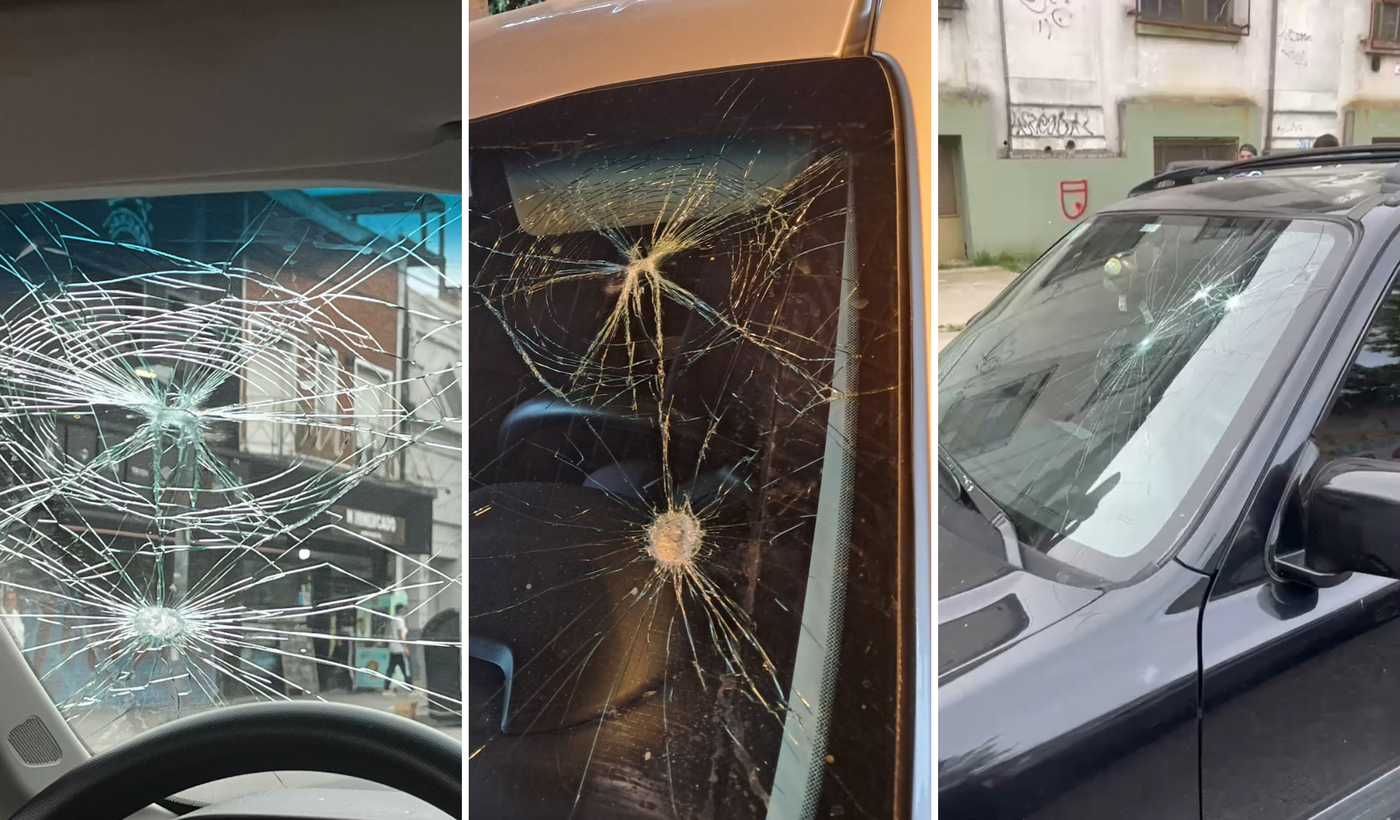 destrozos autos bosque