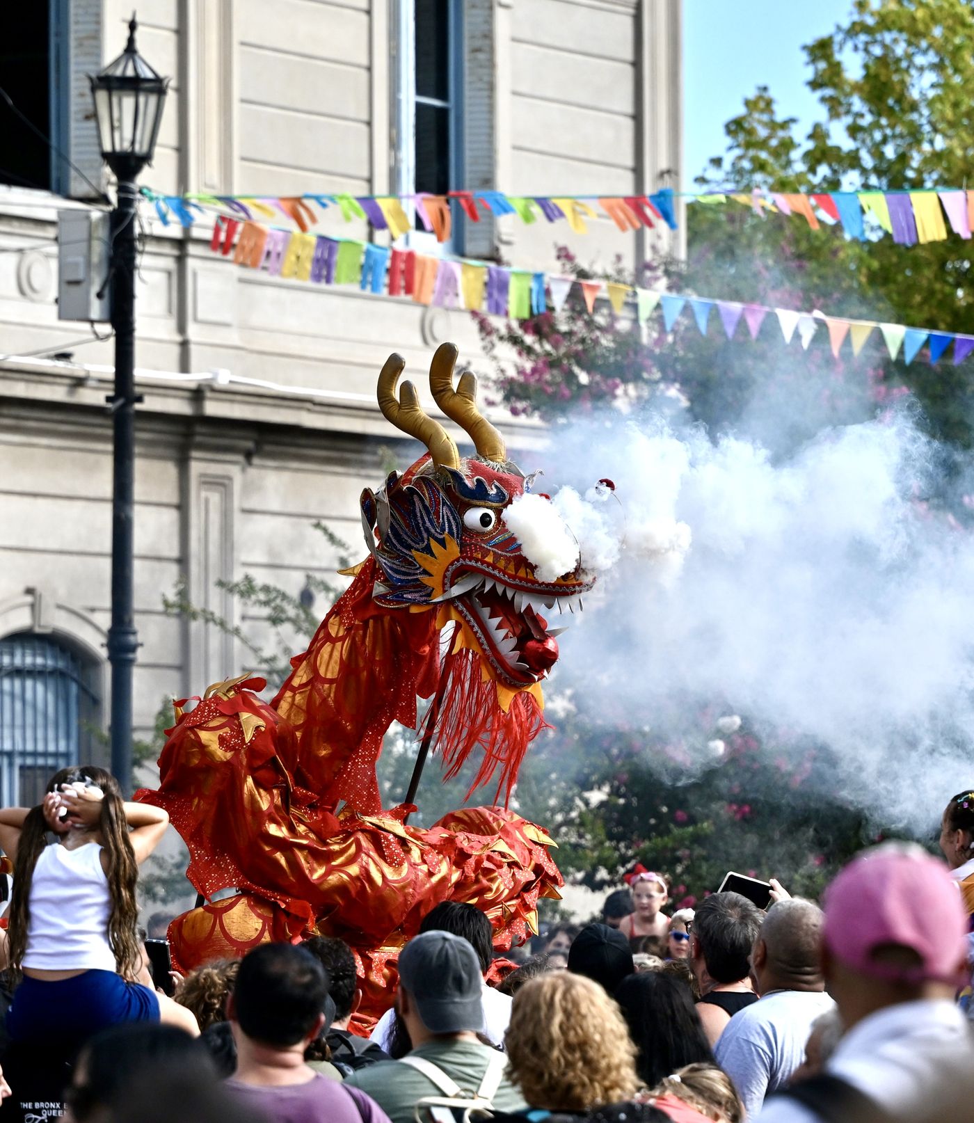 Carnaval 2026 en Meridiano V (15)