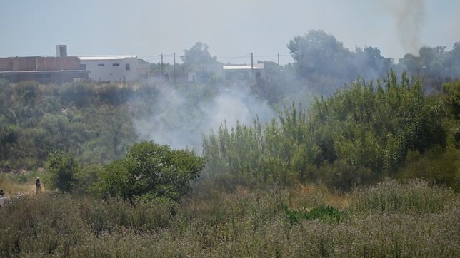 asi es la cantera de la plata que se incendio y puso en riesgo a todo un barrio