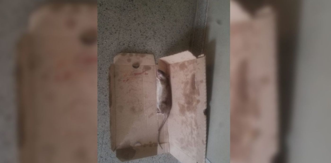 1562718983377.jpg?width=1257&height=628&ow=1350&x=53&y=11&scaleY=1&oh=650&rotate=0&scaleX=1&&cw=1920&ch=950