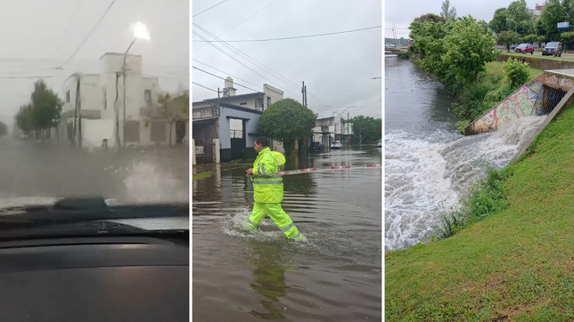 las fotos y los videos de calles desbordadas y los arroyos al limite en la plata y la region