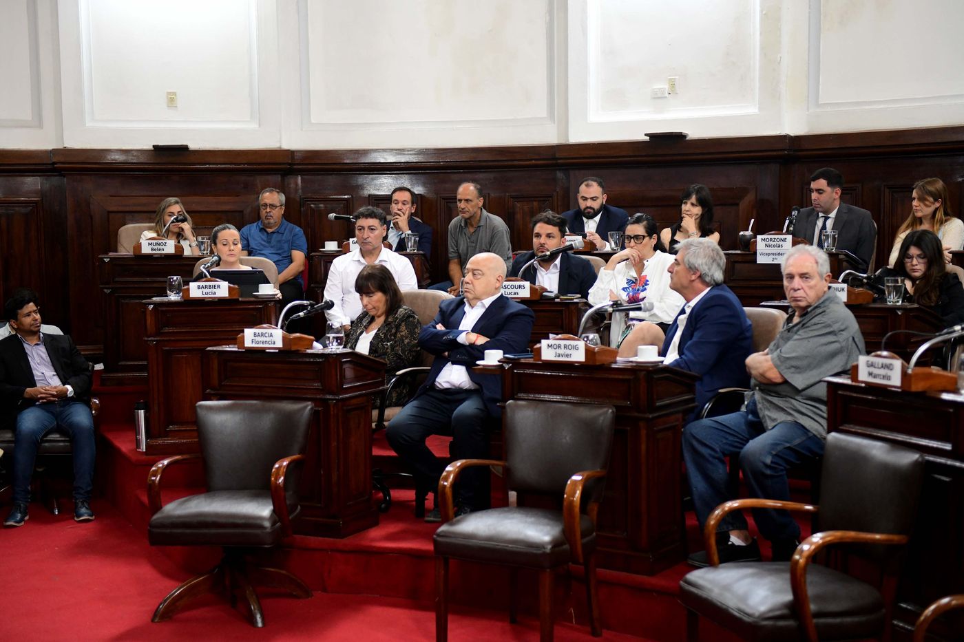 Concejo Deliberante Asamblea de Mayores contribuyentes diciembre de 2024 (11).JPG