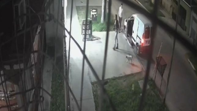 denuncio que la empleada de su kiosco le robo mas de $2 millones en mercaderia y la secuencia quedo grabada