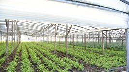 censaran a los productores florihorticolas del cordon de la plata para disenar politicas hacia el sector censaran a los productores florihorticolas del cordon de la plata para disenar politicas hacia el sector