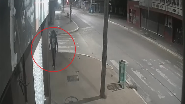 un ladron persiguio a una mujer por las calles de berisso, la golpeo y huyo con su celular