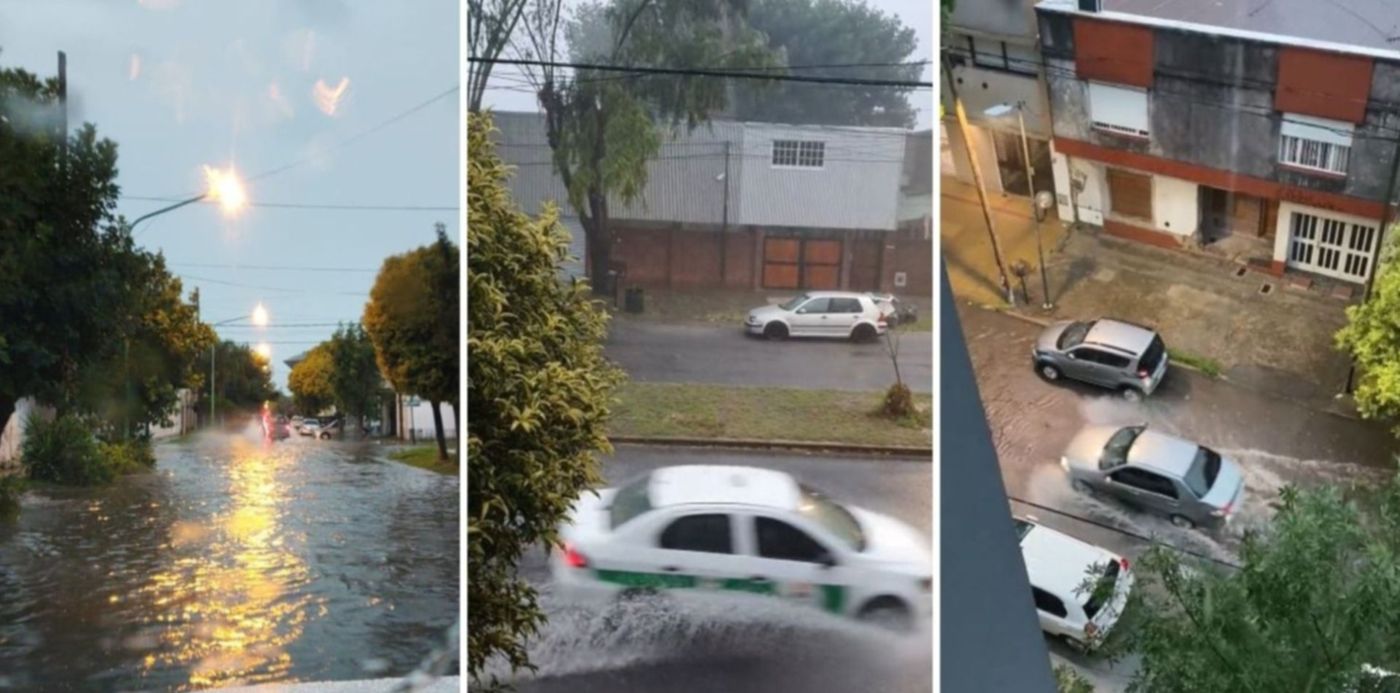 1642895662940.jpg?x=5&y= 3&width=1490&height=745&rotate=0&scaleX=1&scaleY=1&ow=1500&oh=742&&cw=1920&ch=950