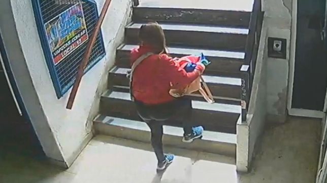 video: una mechera robo en un local de ropa del centro y la escracharon en las redes