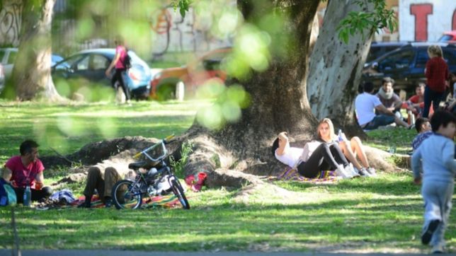 jueves de sol y calor en la plata: ¿como seguira el tiempo?