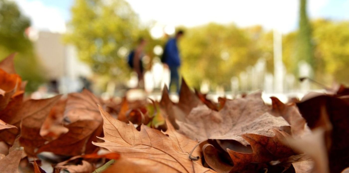 1557573192474.jpeg?&cw=1920&ch=950