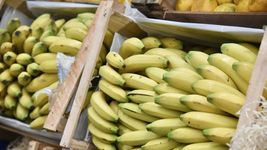 el mercado regional de la plata renovo sus ofertas hasta este jueves 10 el mercado regional de la plata renovo sus ofertas hasta este jueves 10