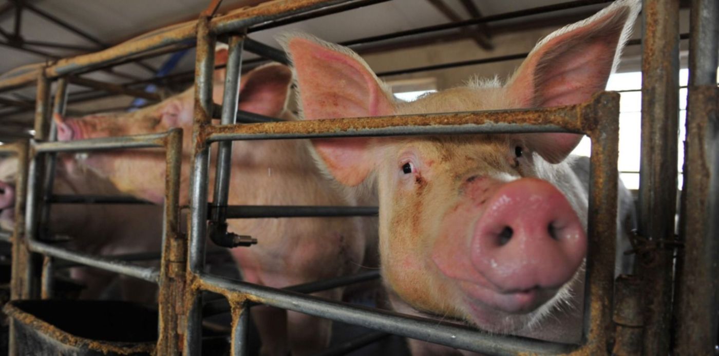 1593519108718.jpg?x=0&y=104&width=1500&height=750&rotate=0&scaleX=1&scaleY=1&ow=1500&oh=844&&cw=1920&ch=950