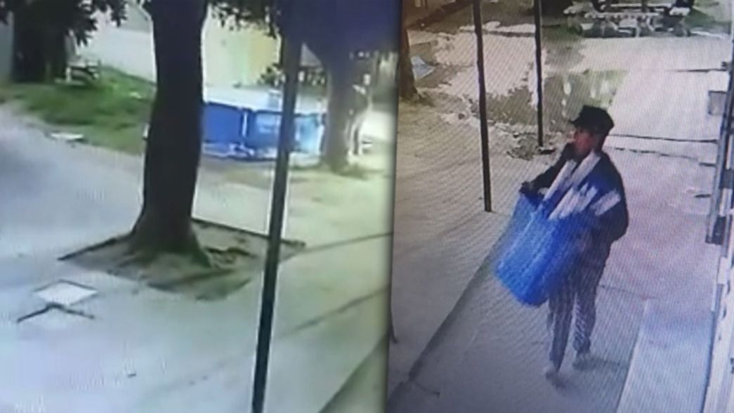 VIDEO: Indignación por el robo de una pileta de lona a un hogar de niños de La Plata