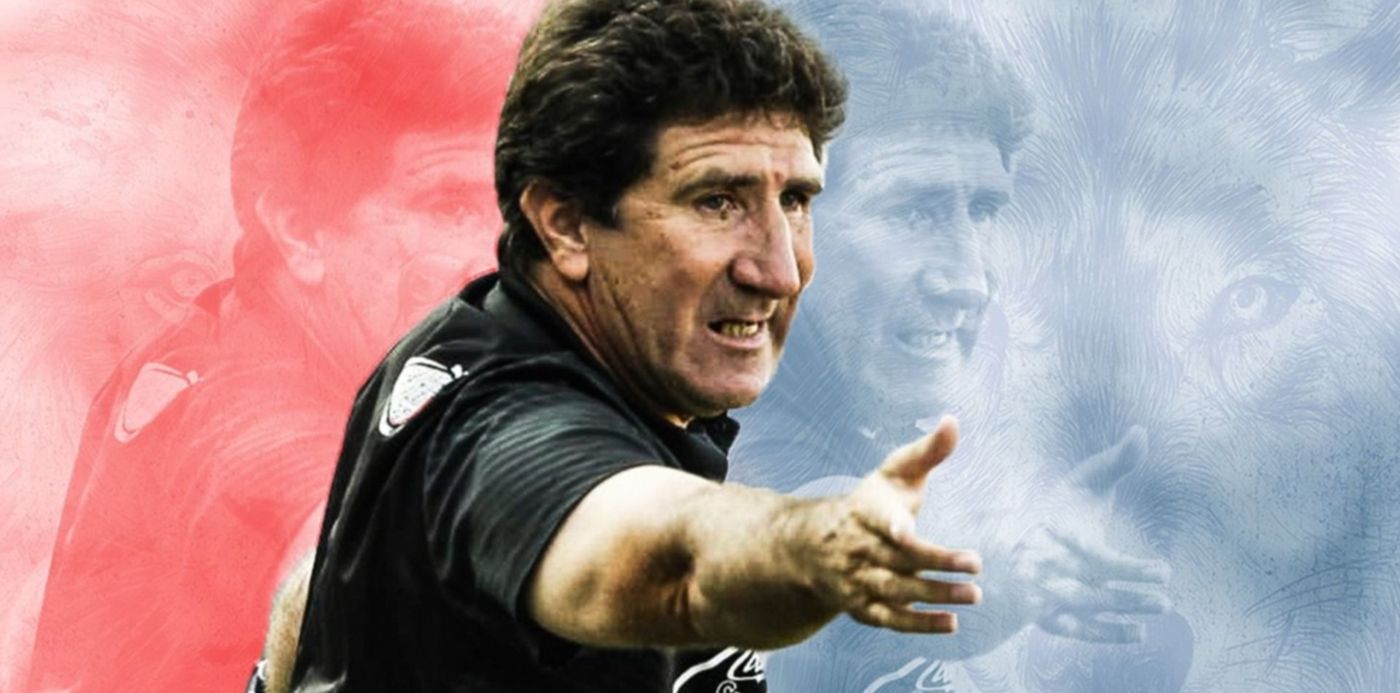 1552220187379.jpg?x=25&y=16&width=1452&scaleX=1&height=726&rotate=0&scaleY=1&ow=1500&oh=742&&cw=1920&ch=950