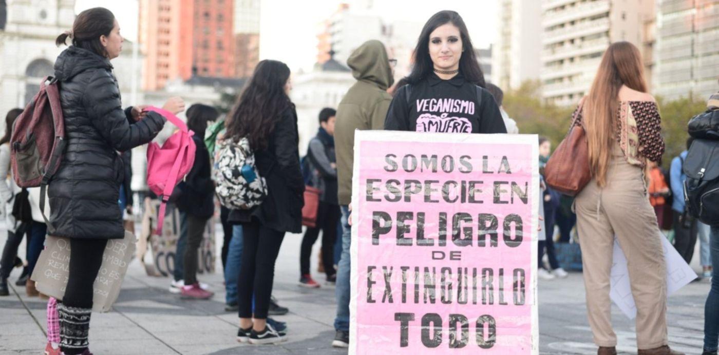 1558734283777.jpeg?rotate=0&y=112&height=746&scaleX=1&scaleY=1&ow=1500&oh=996&x=4&width=1492&&cw=1920&ch=950