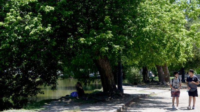 martes de calor y humedad en la plata: sol, casi 34°c y el regreso del alerta amarillo