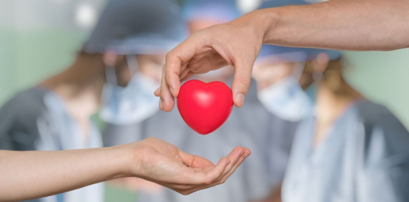 1553524331059.jpg?height=738&scaleX=1&ow=1500&oh=842&x=12&y=74&width=1475&rotate=0&scaleY=1&&cw=1920&ch=950