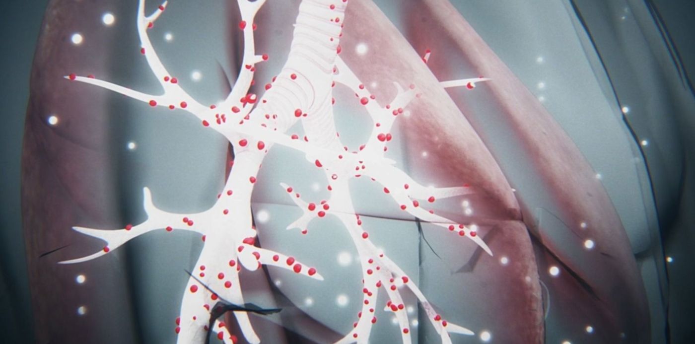 1587055589374.jpg?y=82&rotate=0&scaleX=1&oh=843&x=9&width=1481&height=741&scaleY=1&ow=1500&&cw=1920&ch=950