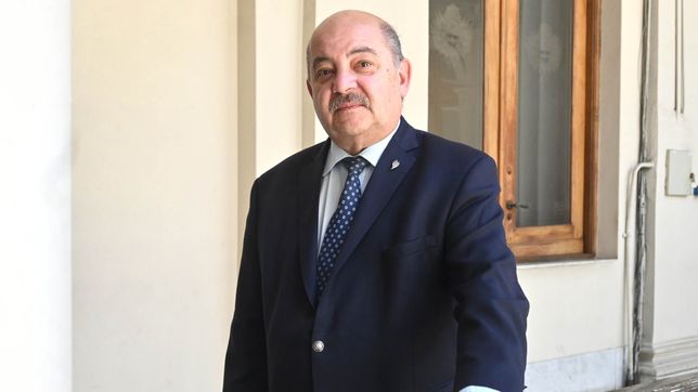 tauber: estamos hombro con hombro con el peronismo