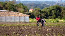 proponen crear un consejo consultivo para fortalecer el cordon frutihorticola de la plata