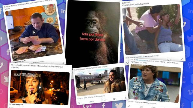 la desopilante catarata de memes que desato el aumento de micros y trenes en la plata