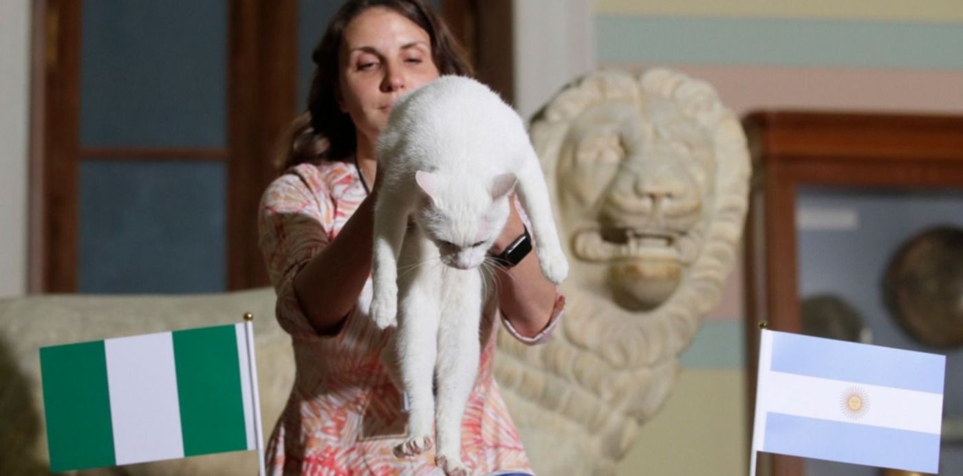 1530021665025.jpg?scaleX=1&scaleY=1&ow=1500&oh=1042&rotate=0&y=30&width=1474&height=737&x=18&&cw=1920&ch=950