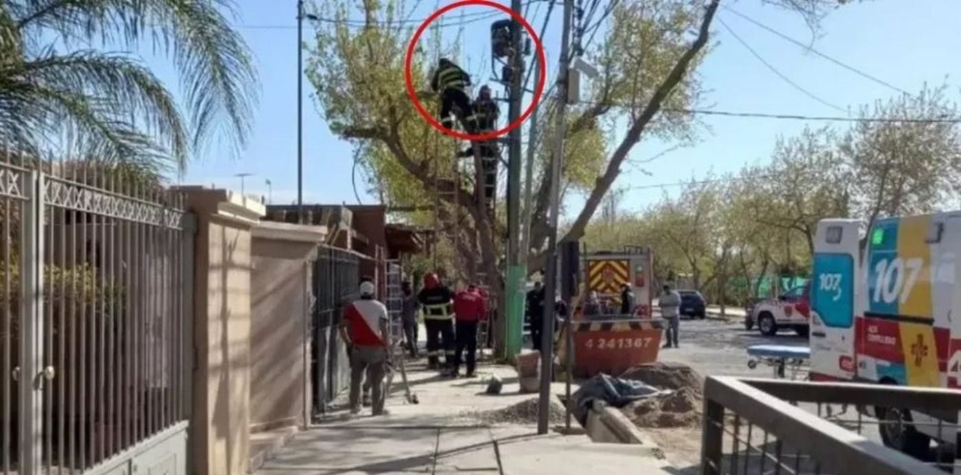 1661455649438.jpg?x=12&y=0&width=978&height=489&rotate=0&scaleX=1&scaleY=1&ow=992&oh=558&&cw=1920&ch=950