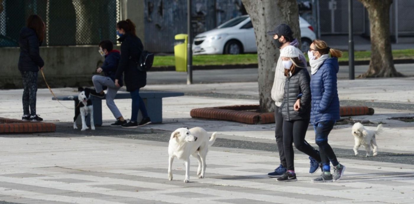 1595705336184.jpg?x=10&y=177&width=1487&height=743&rotate=0&scaleX=1&scaleY=1&ow=1500&oh=935&&cw=1920&ch=950