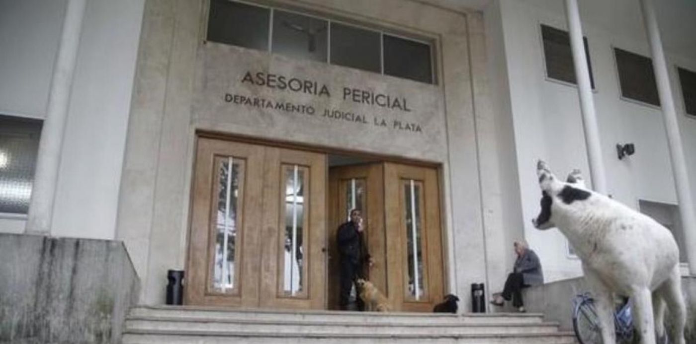 1591009970768.jpg?width=1200&height=600&rotate=0&oh=599&x=0&y= 4&scaleX=1&scaleY=1&ow=1200&&cw=1920&ch=950