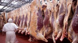 el gobierno autorizo la exportacion de cortes populares de carne que estaban prohibidos el gobierno autorizo la exportacion de cortes populares de carne que estaban prohibidos