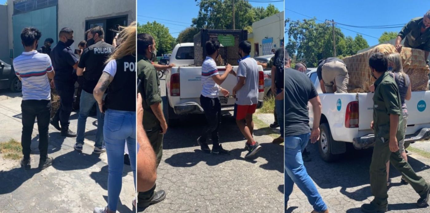 1606153970824.jpg?x=5&y=28&width=1491&height=745&rotate=0&scaleX=1&scaleY=1&ow=1500&oh=789&&cw=1920&ch=950