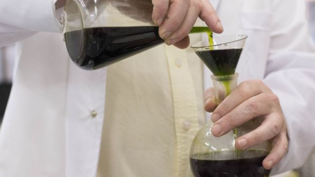 la plata adhirio a la ley que regula la investigacion para el uso medicinal del cannabis