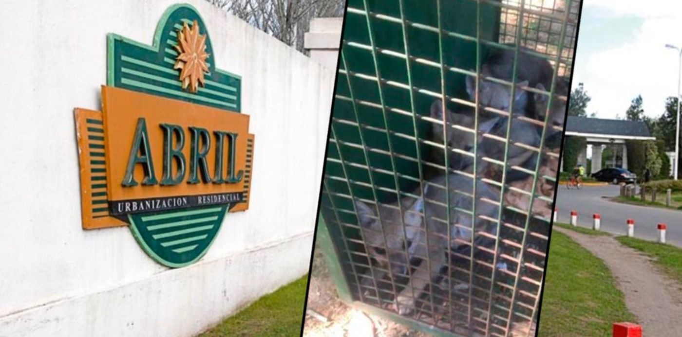 1594128032066.jpg?x=9&y= 6&width=1483&height=741&rotate=0&scaleX=1&scaleY=1&ow=1500&oh=742&&cw=1920&ch=950