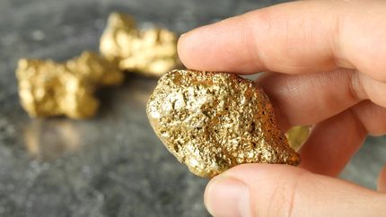 Robaron medio kilo de pepitas de oro que estaban enterradas en el patio de una casa de La Plata