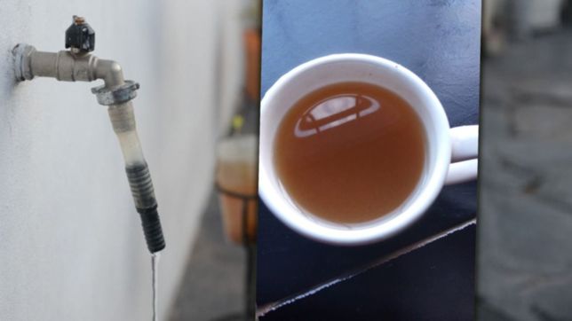 video: vecinos de tolosa denuncian que el agua sale marron
