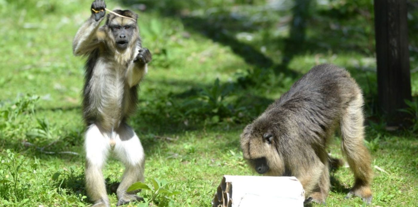 1640619166485.jpg?x=10&y=102&width=1480&height=740&rotate=0&scaleX=1&scaleY=1&ow=1500&oh=1023&&cw=1920&ch=950