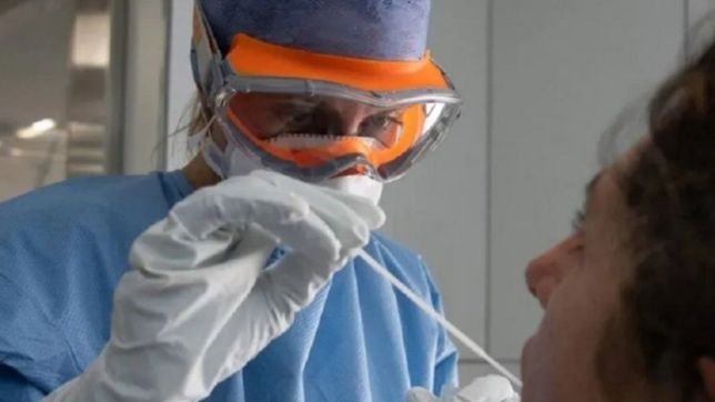 la oms confirmo que bajaron los contagios y las muertes por coronavirus a nivel mundial