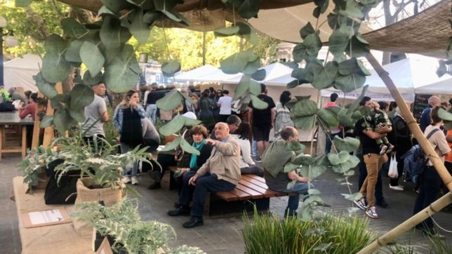 clases, degustaciones y shows: miles de platenses disfrutaron de la fiesta del alcaucil