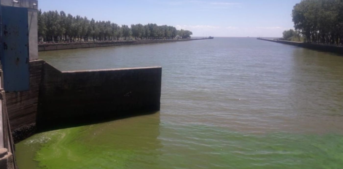 1607442823116.jpg?x=3&y=217&width=1022&height=511&rotate=0&scaleX=1&scaleY=1&ow=1032&oh=774&&cw=1920&ch=950