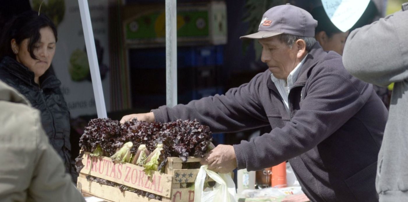 1540328153934.jpg?x=22&y=340&width=1468&height=733&rotate=0&scaleX=1&scaleY=1&ow=1500&oh=1163&&cw=1920&ch=950