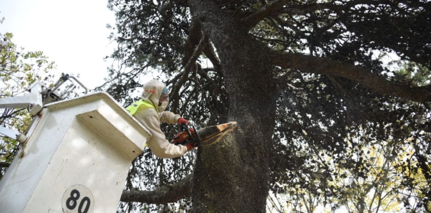 1598972820828.jpg?x=3&y=150&width=1493&height=747&rotate=0&scaleX=1&scaleY=1&ow=1500&oh=1000&&cw=1920&ch=950