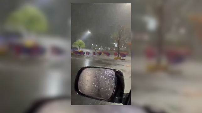 la curiosa carrera de changuitos que se desato en el carrefour de la plata en pleno temporal