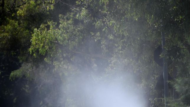 tras las lluvias, la municipalidad de la plata extendera la fumigacion contra el dengue a mas barrios