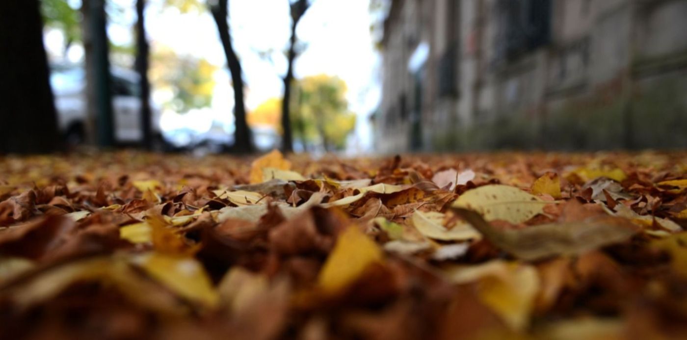 1587694282601.jpg?x=7&y=49&width=1486&height=742&rotate=0&scaleX=1&scaleY=1&ow=1500&oh=996&&cw=1920&ch=950