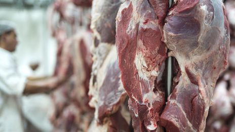 Una empresa de La Plata se quedó con uno de los negocios millonarios de la exportación de carne argentina Una empresa de La Plata se quedó con uno de los negocios millonarios de la exportación de carne argentina