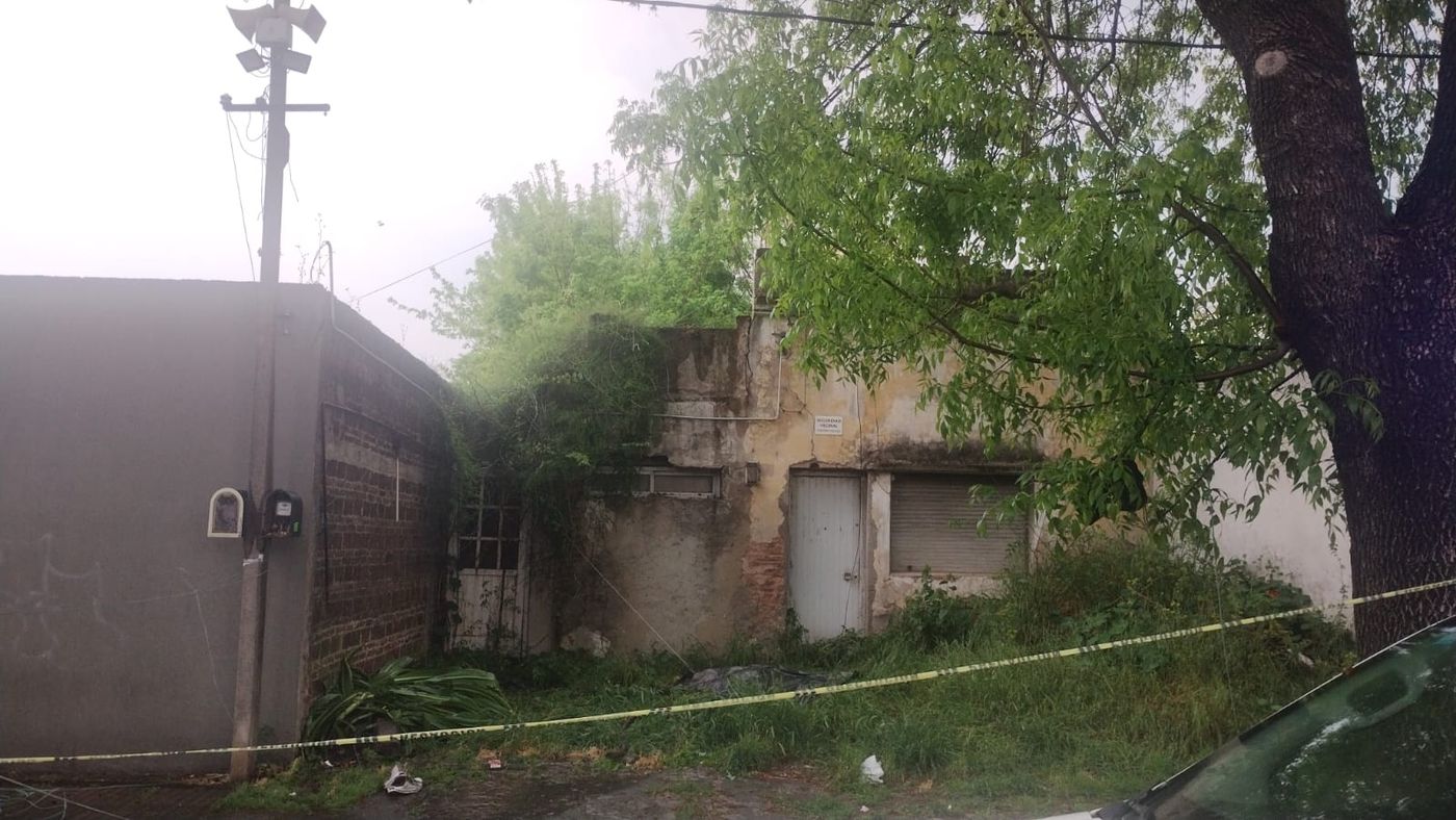 WhatsApp Image 2024-09-30 at 14.11.16.jpeg