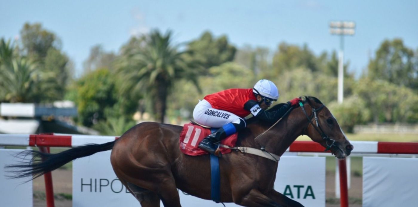 1543785452169.jpg?&cw=1920&ch=950