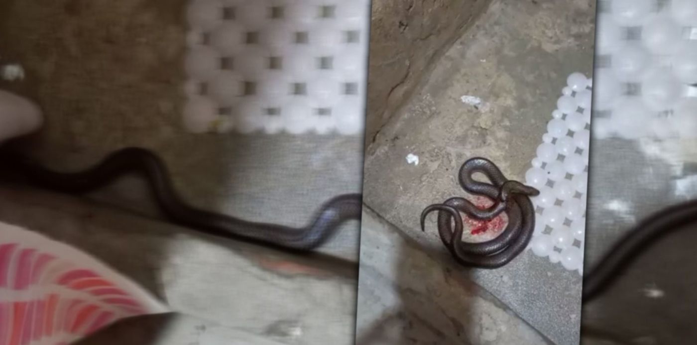 1662752090939.jpg?x=10&y=2&width=1480&height=740&rotate=0&scaleX=1&scaleY=1&ow=1500&oh=742&&cw=1920&ch=950